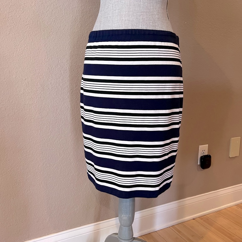 Max Studio Knit Striped Skirt
